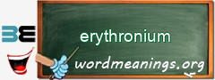 WordMeaning blackboard for erythronium